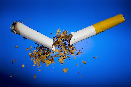 quitting - Close-up of a broken cigarette Stock Photo - Premium Royalty-Free, Code: 640-01350956