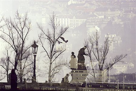 flying bird with tree - Image combinée d'un parc et un paysage urbain Photographie de stock - Premium Libres de Droits, Code: 640-01352058