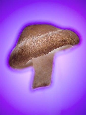 simsearch:640-01350455,k - Gros plan d'un champignon Photographie de stock - Premium Libres de Droits, Code: 640-01352061