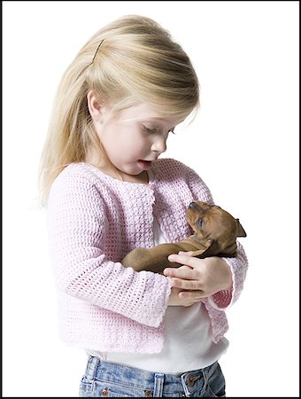 puppy with child white background - Close-up of a girl holding a dachshund puppy Stock Photo - Premium Royalty-Free, Code: 640-01352537