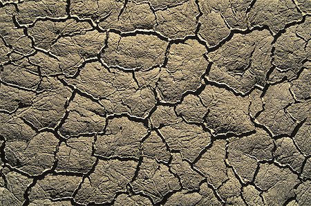 fango arido - Close-up of cracked mud Fotografie stock - Premium Royalty-Free, Codice: 640-01353092