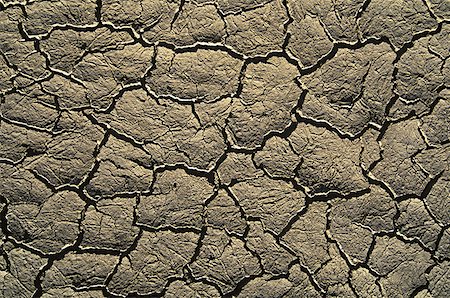 Close-up of cracked mud Stock Photo - Premium Royalty-Free, Code: 640-01353092