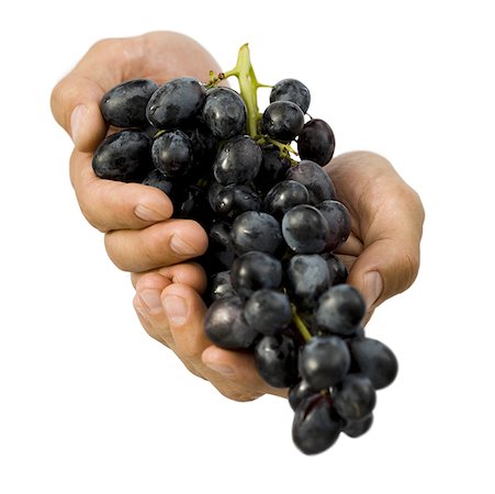 Close-up of hands holding a bunch of grapes Stock Photo - Premium Royalty-Free, Code: 640-01353604