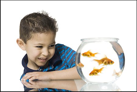 poisson rouge - Gros plan d'un garçon en regardant les poissons rouges dans un aquarium Photographie de stock - Premium Libres de Droits, Code: 640-01364081