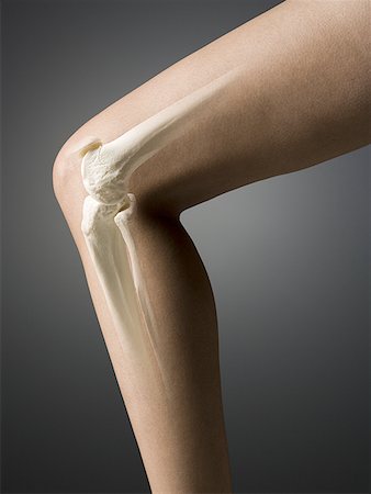 Woman's leg with knee and leg bones visible Stock Photo - Premium Royalty-Free, Code: 640-01364155