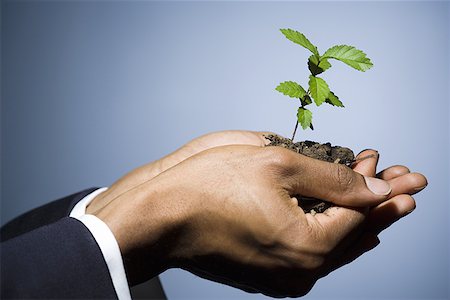 future protections to earth - Man holding a sapling Stock Photo - Premium Royalty-Free, Code: 640-01366010