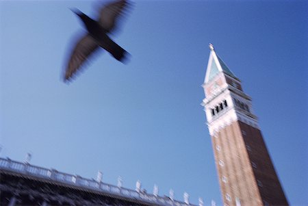 simsearch:640-01365435,k - Low angle view of a bird flying by a tower Stock Photo - Premium Royalty-Free, Code: 640-01366297