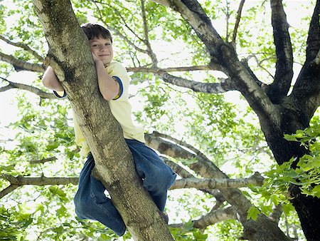 Low angle view of a boy lying on the branch of a tree Stock Photo - Premium Royalty-Free, Code: 640-01360285