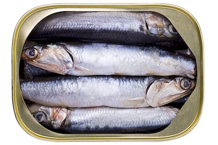sardine - High angle view of sardines in a can Stock Photo - Premium Royalty-Free, Code: 640-01360437
