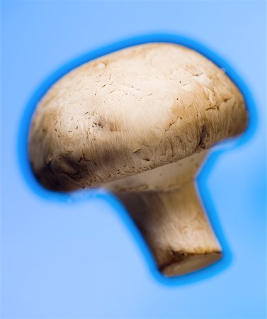 simsearch:640-01350455,k - Gros plan d'un champignon Photographie de stock - Premium Libres de Droits, Code: 640-01361664
