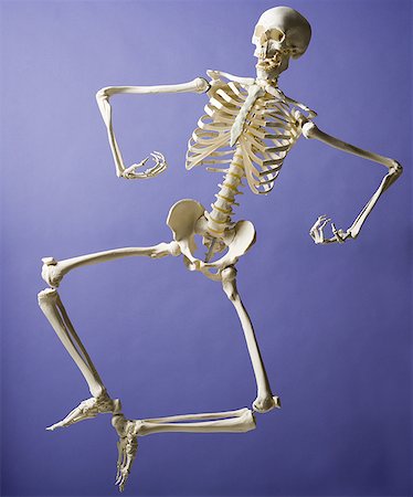 full body skeletal bones - Skeleton leaping Stock Photo - Premium Royalty-Free, Code: 640-01361677