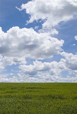 simsearch:622-06190831,k - Clouds over a grassy field Stock Photo - Premium Royalty-Free, Code: 640-01361821