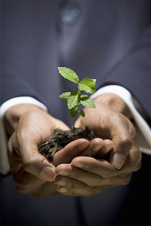 future protections to earth - Man holding a sapling Stock Photo - Premium Royalty-Free, Code: 640-01361856