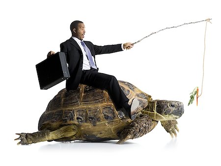 Businessman riding sea turtle with carrot on stick Stock Photo - Premium Royalty-Free, Code: 640-01363211