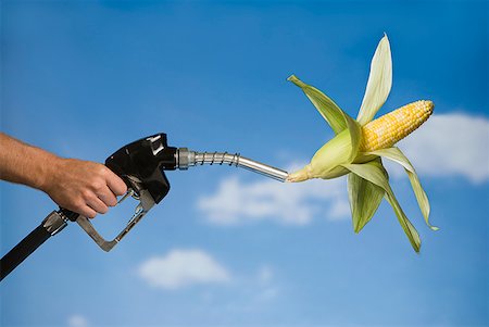 petrol pump man - Man holding gas nozzle with corn cob Stock Photo - Premium Royalty-Free, Code: 640-01645430