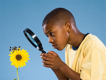 Child looking at a flower and a dragonfly. Stock Photo - Premium Royalty-Free, Code: 640-02656271