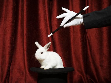 Pulling a rabbit out of a hat. Stock Photo - Premium Royalty-Free, Code: 640-02656344