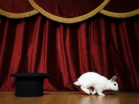 Pulling a rabbit out of a hat. Stock Photo - Premium Royalty-Free, Code: 640-02656347