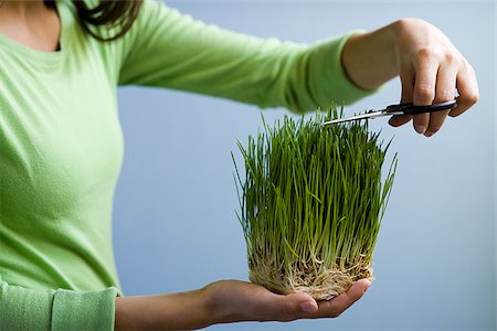 simsearch:640-02950999,k - Femme coupe herbe avec des ciseaux. Photographie de stock - Premium Libres de Droits, Code: 640-02657164