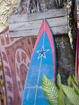 Surfboard against a tree Stock Photo - Premium Royalty-Free, Code: 640-02766500