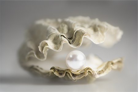 Close-up of a pearl in an oyster Stock Photo - Premium Royalty-Free, Code: 640-02767739