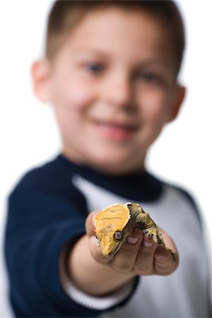 Closeup of boy holding lizard smiling Stock Photo - Premium Royalty-Free, Code: 640-02775855