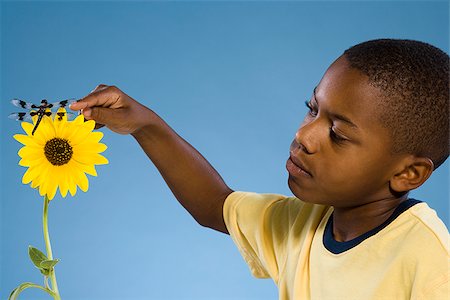 simsearch:640-02776114,k - Child looking at a flower and a dragonfly. Stock Photo - Premium Royalty-Free, Code: 640-02776117