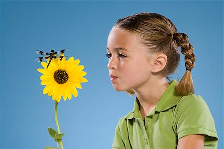 simsearch:640-02776114,k - Child looking at a flower and a dragonfly. Stock Photo - Premium Royalty-Free, Code: 640-02776118