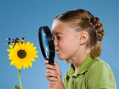 simsearch:640-02776114,k - Child looking at a flower and a dragonfly. Stock Photo - Premium Royalty-Free, Code: 640-02776121