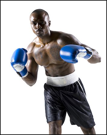 Boxer Stock Photo - Premium Royalty-Free, Code: 640-02770255