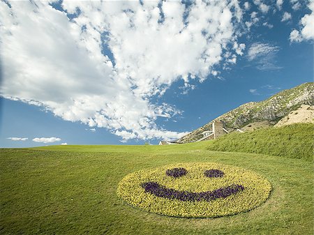 smiley - Affichage floral bonhomme sourire Photographie de stock - Premium Libres de Droits, Code: 640-02770354