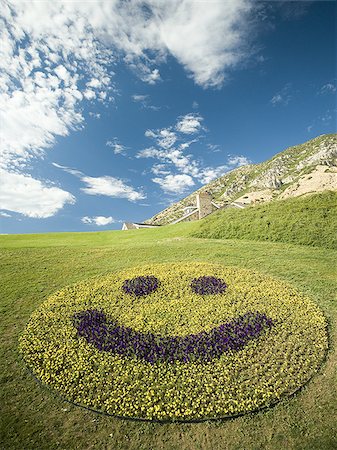 smiley - Affichage floral bonhomme sourire Photographie de stock - Premium Libres de Droits, Code: 640-02770352