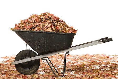 Wheelbarrow with fallen leaves Stock Photo - Premium Royalty-Free, Code: 640-02770442