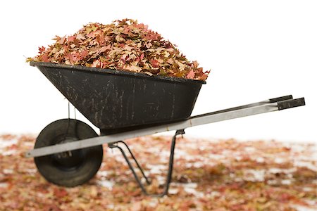 Wheelbarrow with fallen leaves Stock Photo - Premium Royalty-Free, Code: 640-02770443