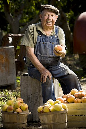 peach farm - Farmer posing with baskets of peaches Stock Photo - Premium Royalty-Free, Code: 640-02770609