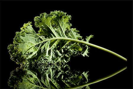 Closeup of herb Stock Photo - Premium Royalty-Free, Code: 640-02772486