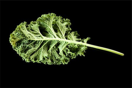Closeup of herb Stock Photo - Premium Royalty-Free, Code: 640-02772487