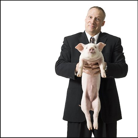 front view of a pig - Businessman holding piglet Stock Photo - Premium Royalty-Free, Code: 640-02773251