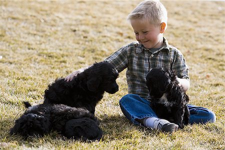 simsearch:640-01355830,k - Boy with puppies outdoors Stock Photo - Premium Royalty-Free, Code: 640-02773572