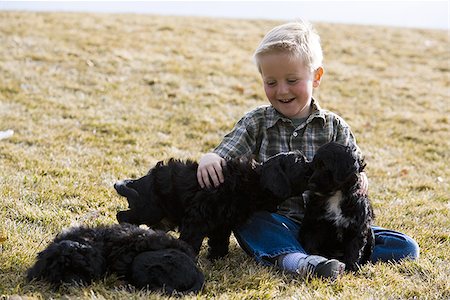 simsearch:640-01355830,k - Garçon avec des chiots à l'extérieur Photographie de stock - Premium Libres de Droits, Code: 640-02773573