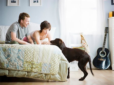 couple playing with their dog in the bedroom Stock Photo - Premium Royalty-Free, Code: 640-02947560