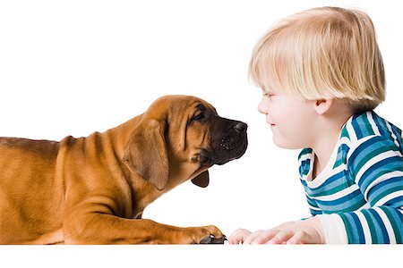 puppy with child white background - puppy and a boy Stock Photo - Premium Royalty-Free, Code: 640-02949269