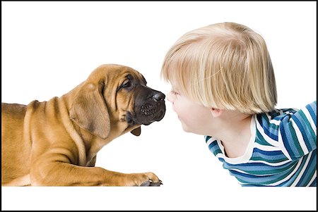 puppy with child white background - puppy and a boy Stock Photo - Premium Royalty-Free, Code: 640-02949270