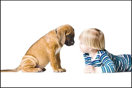 puppy with child white background - puppy and a boy Stock Photo - Premium Royalty-Free, Code: 640-02949271