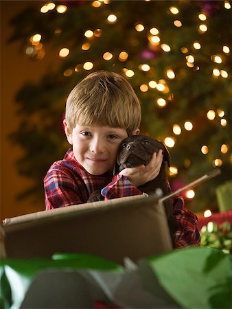 simsearch:640-02949371,k - boy at christmas getting a puppy Stock Photo - Premium Royalty-Free, Code: 640-02949377