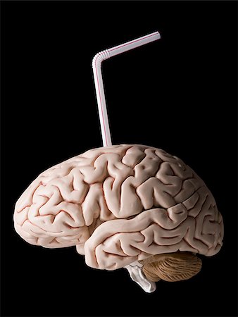 brain with a straw in it Stock Photo - Premium Royalty-Free, Code: 640-02949451