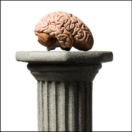 pedestal - brain on a pedestal Foto de stock - Sin royalties Premium, Código: 640-02949484