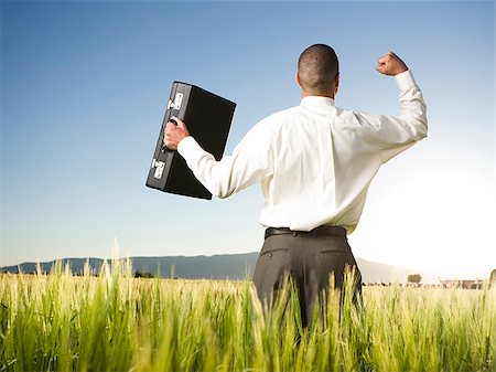 businessman in a field Stock Photo - Premium Royalty-Free, Code: 640-02950484