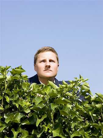 man looking over a hedge Foto de stock - Sin royalties Premium, Código: 640-02951181