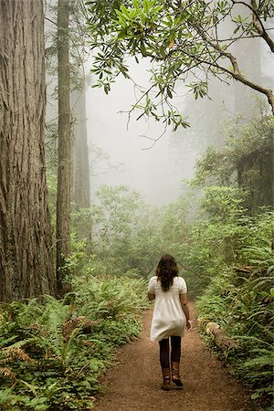 femme qui marche dans une forêt de séquoias géants Photographie de stock - Premium Libres de Droits, Code: 640-02952452